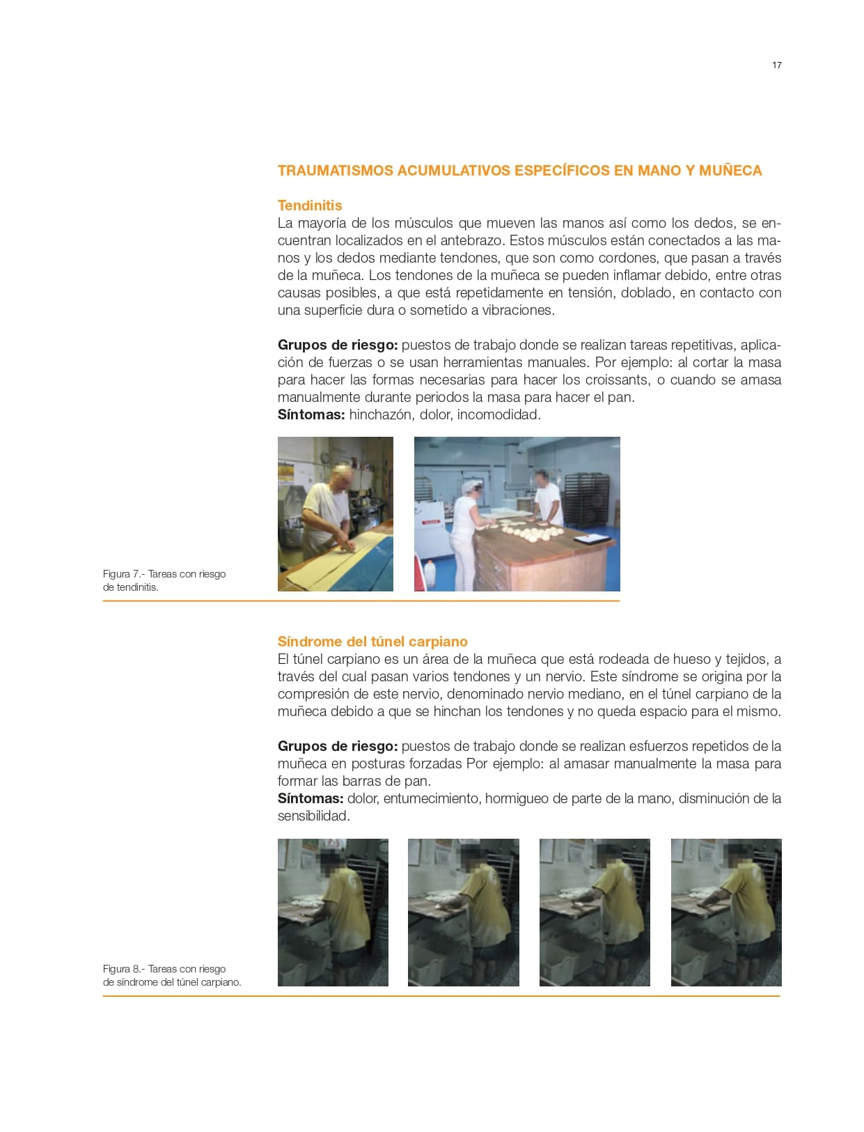 Manual Prevencion de riesgos ergonomicos sector panaderia 3