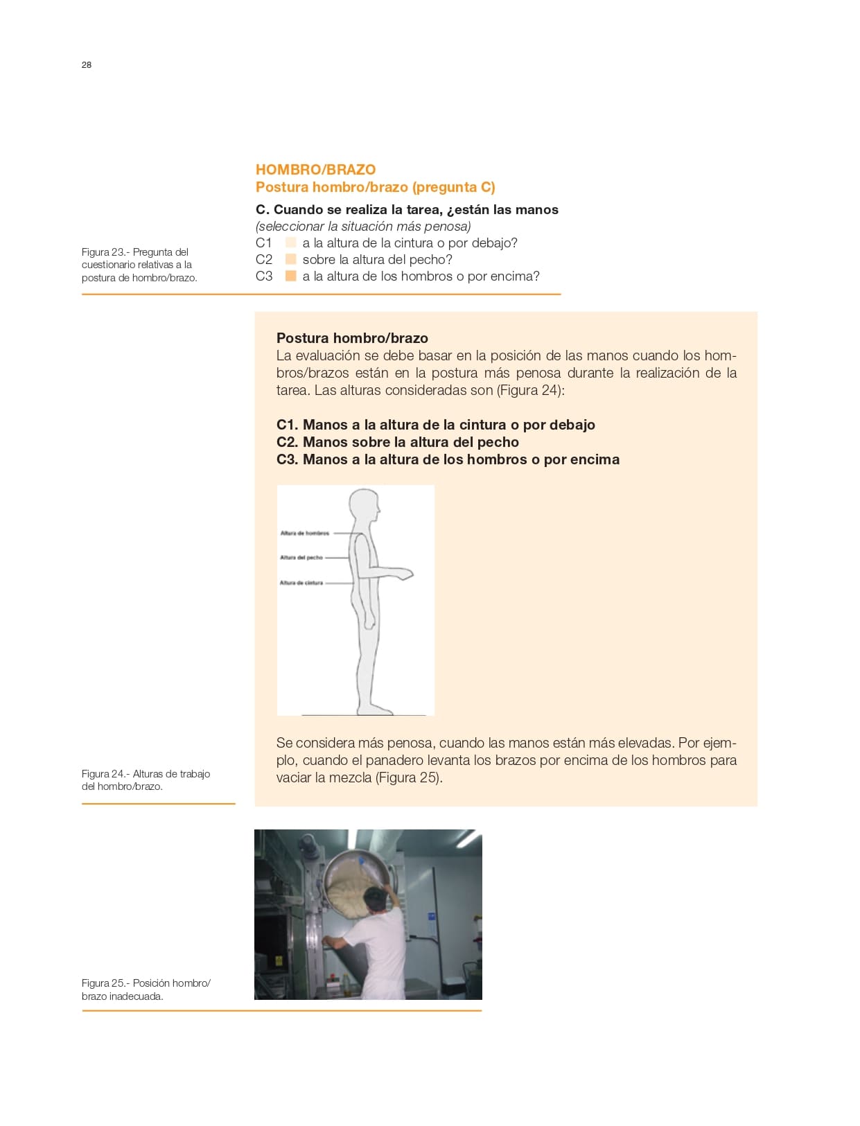 Manual Prevencion de riesgos ergonomicos sector panaderia_pages-to-jpg-0029